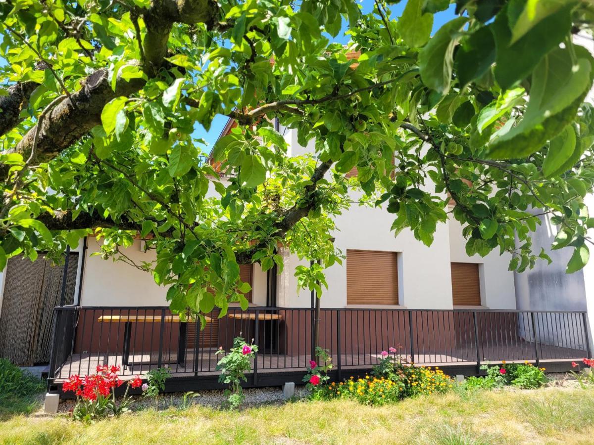 Casa Julio, Bonita Casa Comoda Y Espaciosa, Totalmente Reformada Con Terraza Y Jardin Privado Riezu Dış mekan fotoğraf